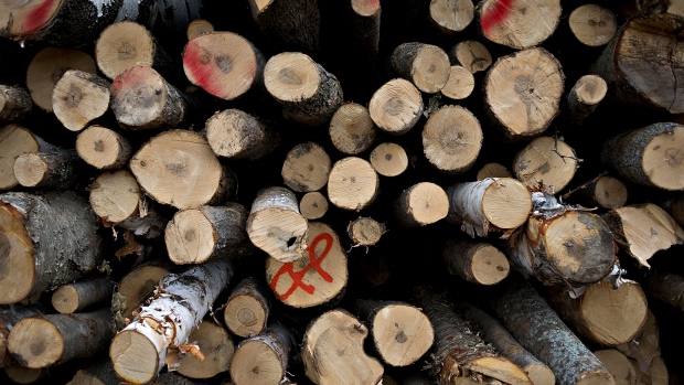 A large pile of unprocessed logs sits outside the Nicolet Hardwoods Corp. lumber mill  