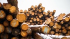 Logs sit stacked at a Western Canadian Timber Products Ltd. site near Harrison Mills, British Columbia, Canada, on Tuesday, Feb. 4, 2020. 