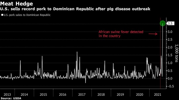 BC-US-Pork-Exports-Spike-With-Swine-Fever-in-Dominican-Republic