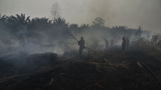 Firefighters battle a forest fire that is spewing toxic haze across the region in Kampar, Riau in 2019. Photographer: Wahyudi/AFP/Getty Images
