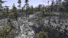 Nova Scotia wildfire aftermath