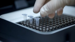 DNA testing is demonstrated at the Gene Discovery laboratory in Hong Kong, China