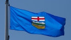 Alberta provincial flag