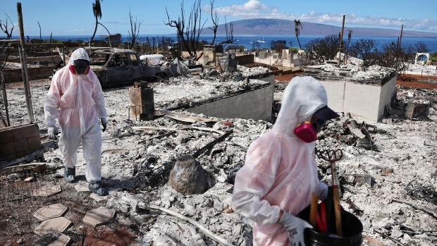 <p>Volunteers search for family items destroyed in the wildfires in Lahaina, Hawaii.</p>
