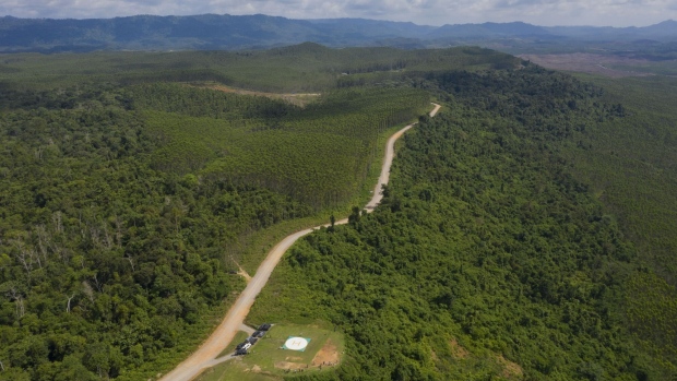 <p>Carbon offsets are a key component of tackling climate change, allowing polluters to counter their emissions by buying credits from projects like forest reserves in Indonesia.</p>