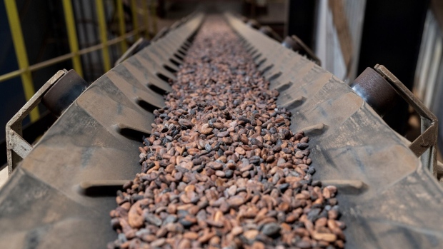 <p>Cocoa beans move along a conveyor belt to a heating tank for roasting in Abidjan, Ivory Coast.</p>