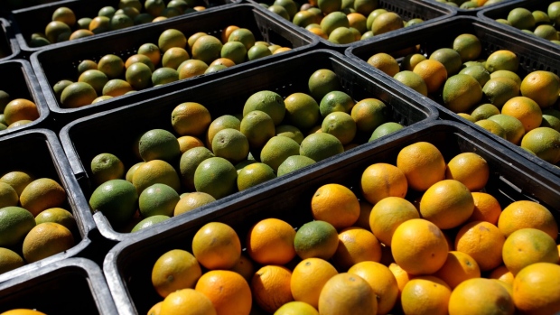 Crates of oranges on a truck before being processed and cleaned at a packing house in Itupeva, Sao Paulo state, Brazil, on Tuesday, Aug. 3, 2021. Orange quality has been hurt after a severe frost affected Sao Paulo groves, probably reducing industry yield efficiency.