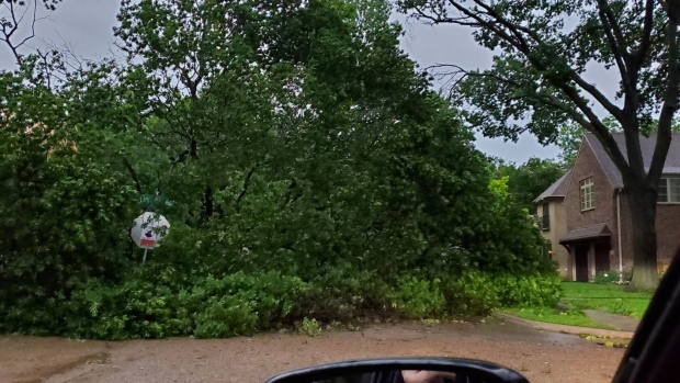 A downed tree blocked a street near Dallas’ Love Field airport early Tuesday.