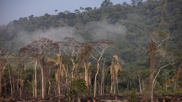 Deforestation in an environmentally protected area in Para state, Brazil.
