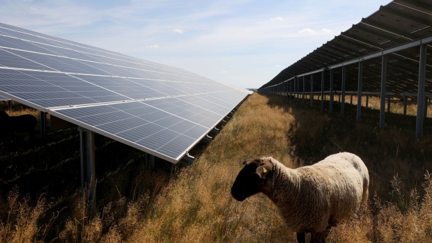 A sheep grazing in a field solar panels at the Weesow-Willmersdorf solar park, operated by EnBW Energie Baden-Wrttemberg AG, in Werneuchen, Germany, on Tuesday, Aug. 2, 2022. The European Union seeking to double solar capacity to 320GW by 2025 and to hit 600GW by the end of the decadewhich would make solar Europe's biggest source of electricity, whereas today it's not even in the top five. Photographer: Liesa Johannssen-Koppitz/Bloomberg