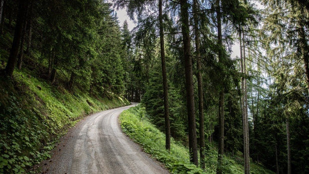 <p>A dirt road leads through an alpine forest near Feistritz am Kammersberg, Austria.</p>