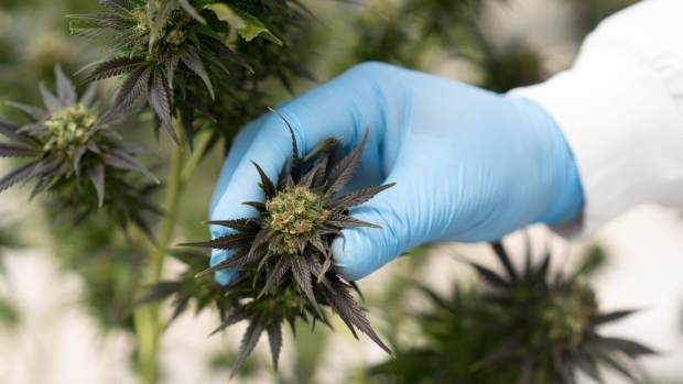 <p>The long-awaited step toward potential acceptance of marijuana is widely viewed as a victory for the industry.</p>